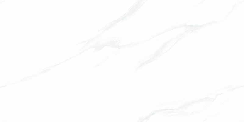 WDL48J01