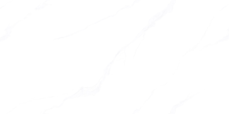 WDL486J01