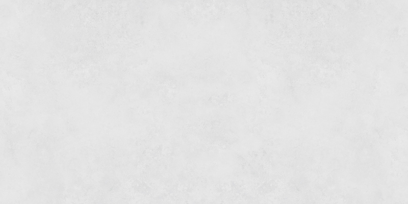 WDL486J06
