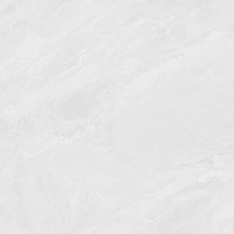 WDL89J001