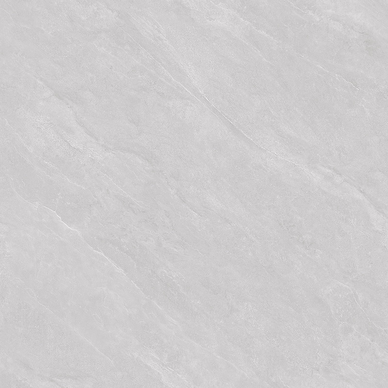 WDL89J006