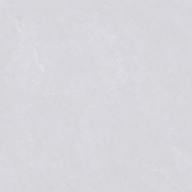 WDL89J008
