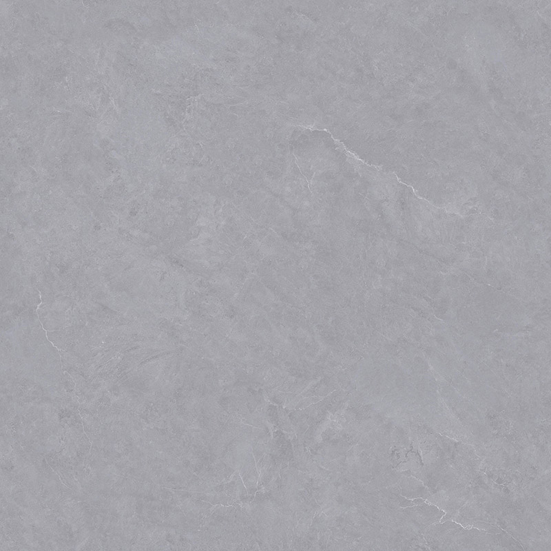 WDL89J009 